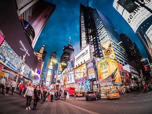 new york  city